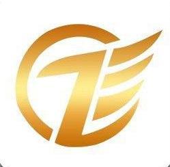 浙江黄色闪电电子商务有限公司的图标