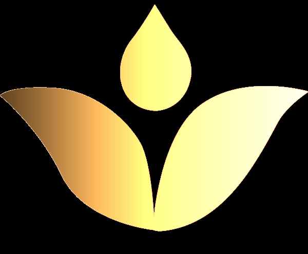 郑州晨禾餐饮管理有限公司的图标