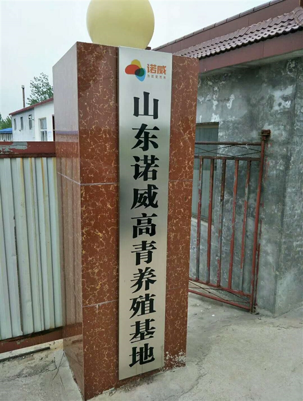 山东诺威现代农牧科技有限公司的图标